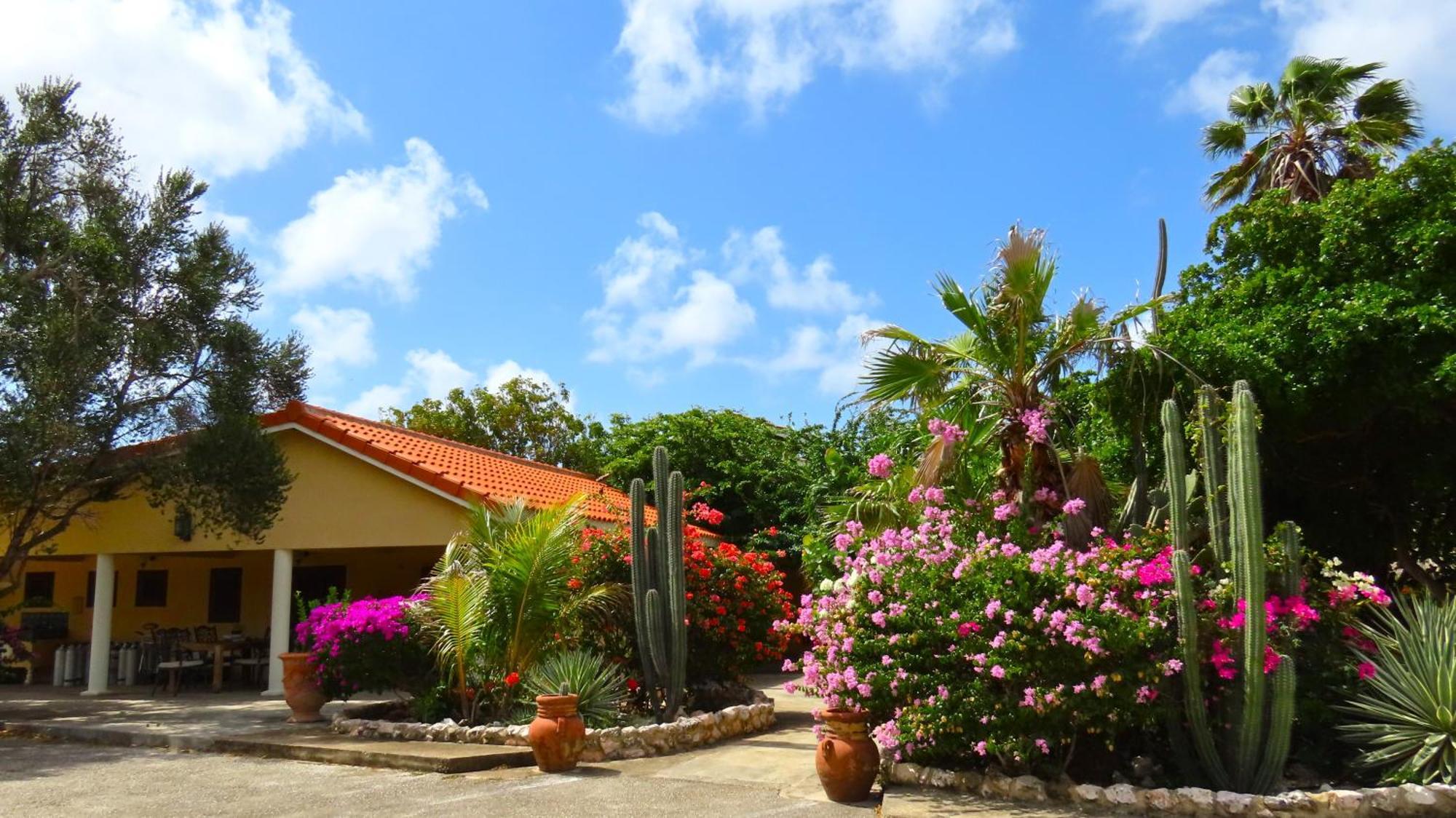 Lagun Blou Resort Curacao Eksteriør bilde