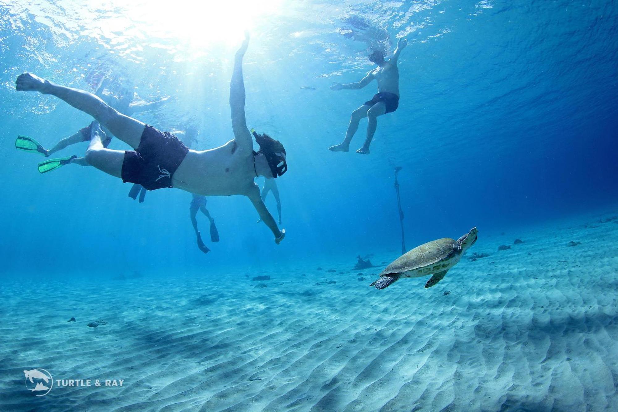 Lagun Blou Resort Curacao Eksteriør bilde