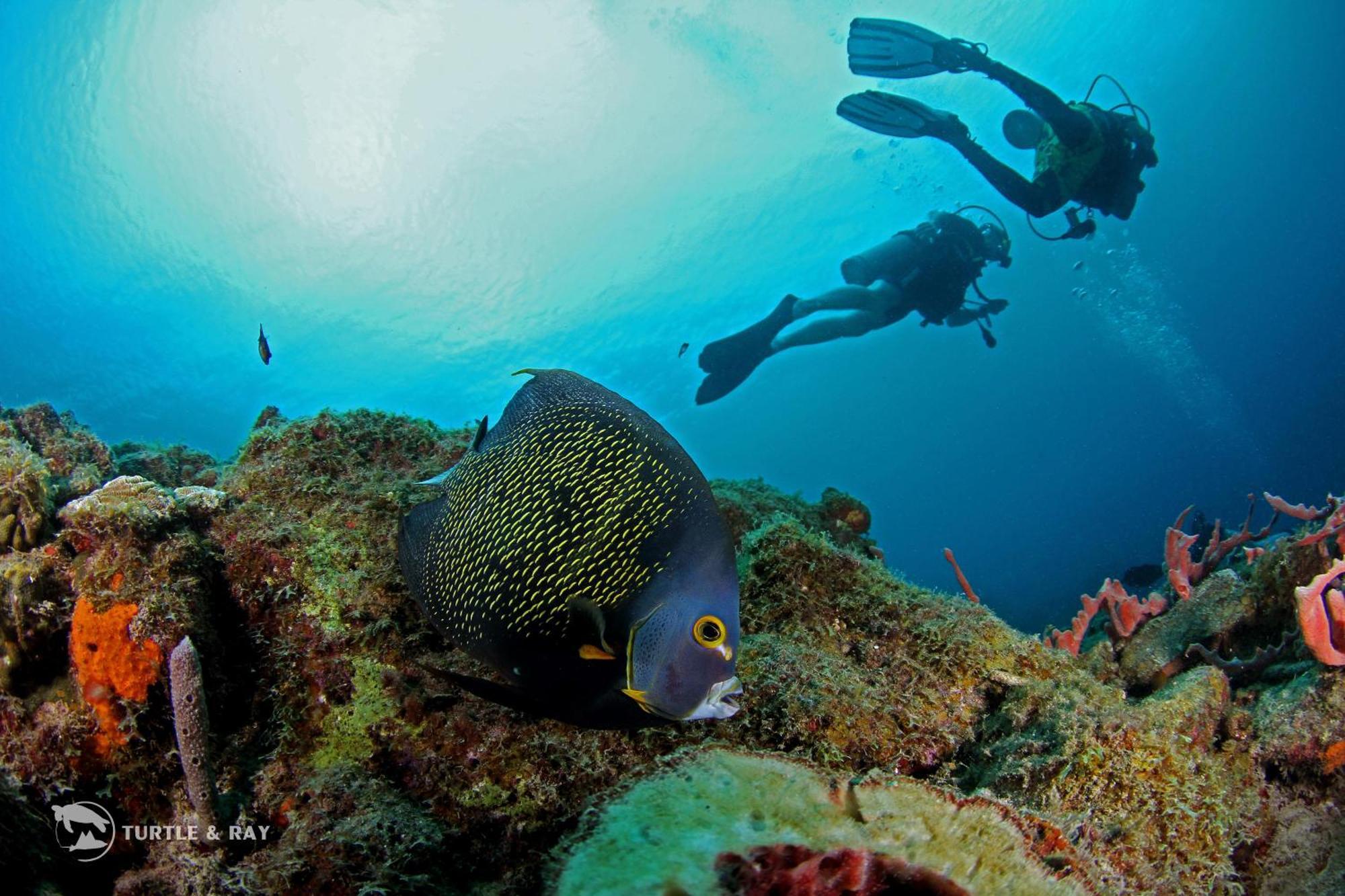 Lagun Blou Resort Curacao Eksteriør bilde