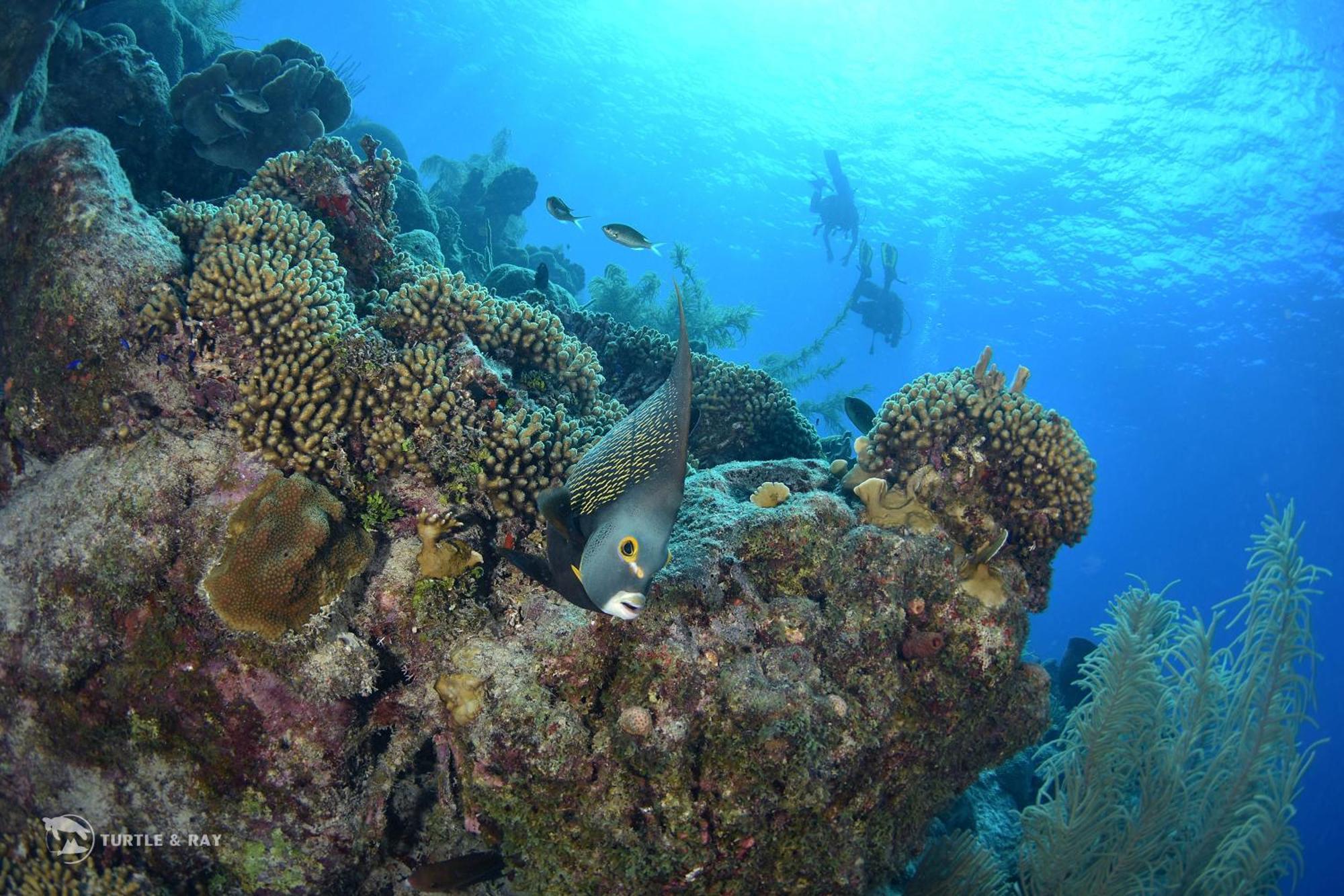 Lagun Blou Resort Curacao Eksteriør bilde