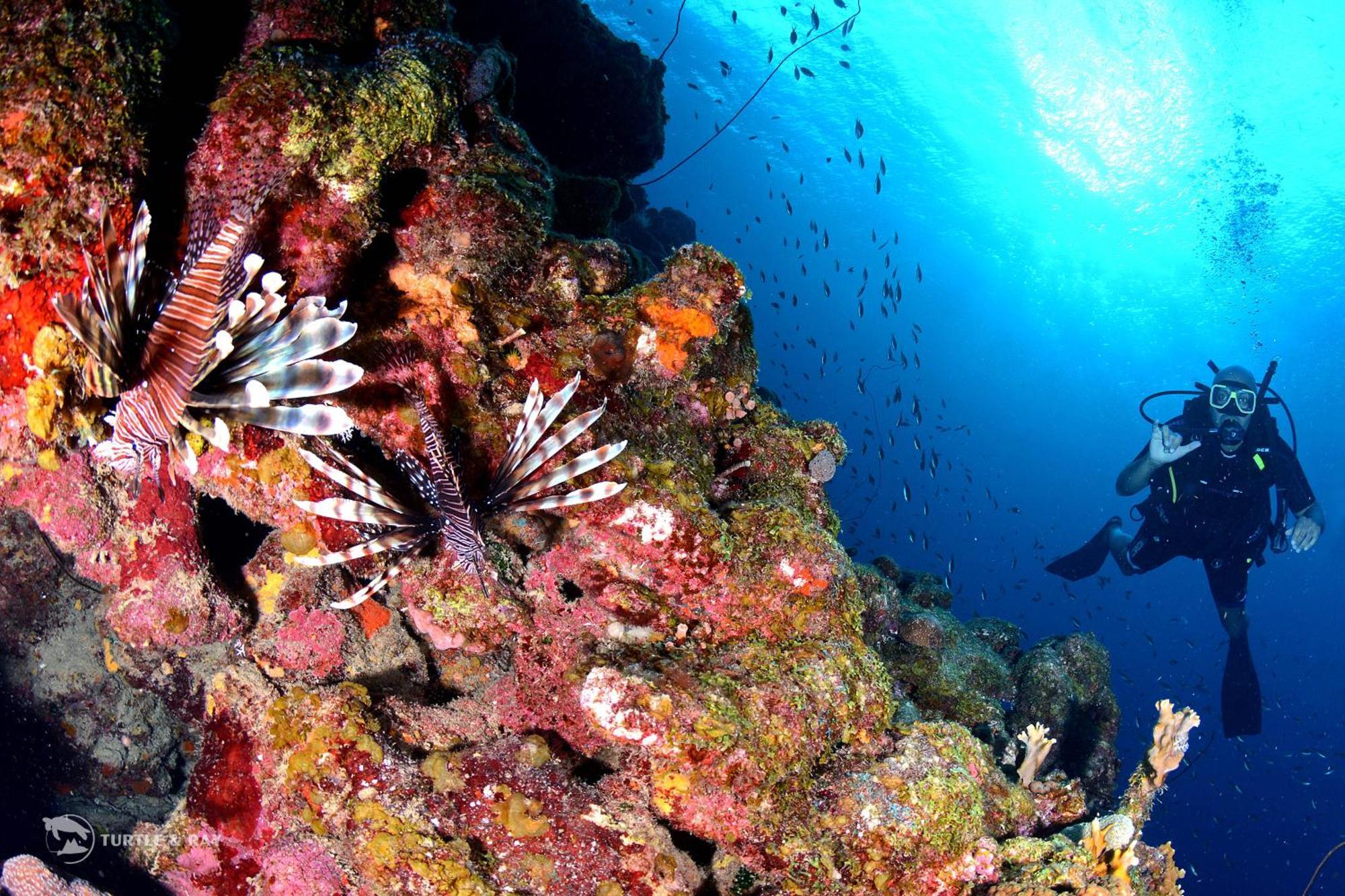 Lagun Blou Resort Curacao Eksteriør bilde